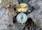 Compass on the background of stones and plants