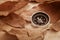 Compass and dried leaves on old wooden background, filtered image