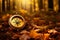 Compass laying on the yellow leaves in autumn forest. Travelling by foot in autumn season