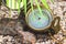 The compass lies on stones and sand, on top of it covers a little branch of a fern