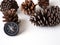 Compass and pine cones on white background travel journey
