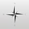 Compass rose - nautical chart. Travel equipment displaying orientation of world directions - north, east, south and west