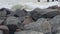 Compass and telescope spyglass on granite rocks. Metall pier, bollard and bitt