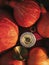 A compass in water droplets lies between orange pumpkins.