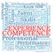 Competence experience word cloud