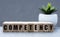 COMPETENCY - word on wooden cubes on a gray background with a cactus