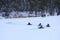 Competitions of Kart racing on the ice of river