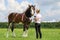 A competitor shows her horse at a show