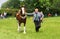 A competitor shows his horse at a show