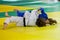 Competitors in Catalan Senior Judo Championships in Barcelona, 2