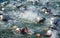 Competitors in the water starting the swimming stage of triathlon,
