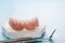 Complete denture or full denture.