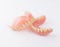 Complete denture on white background