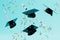 completed higher education. hats and master\\\'s diplomas flying with confetti. 3d render