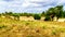 The completely dry N`waswitsontso River in central Kruger National Park