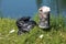 Completely filled metal public trash can surrounded with uncut grass and fully black plastic bag on local river bank