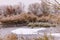 A completely frozen lake with ice and snow in winter with trees on the shore, Germany