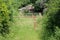 Completely overgrown backyard closed with two rusted metal locked doors