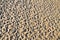 Complex beach sand ripple pattern