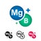 Complex of vitamins magnesium and vitamin B vector icon