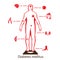 Complications of Diabetes Mellitus in fat people. Illustration in Infographic style about medical and health.