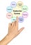 Components of  Endocrine System