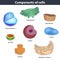 Components of human cells vector illustration