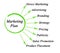 Components of Marketing Plan