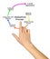 Components of Mediation Process