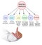 Components of PESTEL Analysis