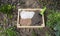 Components of the soil mixture: vermiculite, agroperlite, vermicompost, compost, biohumus  for growing vegetables and seedlings in
