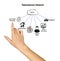 components of Telemedicine Network