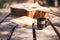 Composer`s desk in nature, Coffee cup, notebook, and acoustic guitar placed