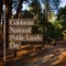 Composite of celebrate national public lands day text over caucasian man trekking in forest