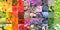 Composite color chart collage of a large variety of flowers and