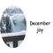 Composite of december joy text over winter scenery