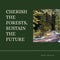 Composite of this friday, cherish the forests, sustain the future text and trees growing in woods