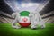 Composite image of iran world cup 2014