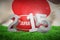 Composite image of japan rugby 2015 message