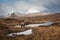 Composite image of red deer stag in Majestic Winter panorama landscape image of mountain range and peaks viewed from Loch Ba in