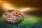 Composite image of rugby world cup international ball