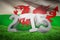 Composite image of wales rugby 2015 message