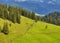 composite landscape. fence near the cross road on hillside meadow in mountains