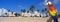 Composite panoramic image of a colorful parrot and coastline in Miami Beach, Florida