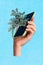 Composite photo collage of hand holding new samsung smartphone display growing organic natural green plant leaves