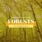 Composite of protecting our forests for a brighter future text and beautiful trees growing in forest