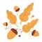 Composition acorns and leaves on white background. Autumn season acorn and leave brown color hand drawn in doodle style