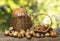 Composition With autumn harvests arranged on old boards. Blurred colorful background. Two baskets with fruits and vegetables.