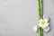 Composition with bamboo branches, stones and plumeria on light background, top view