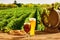 Composition with beer barrel and beer glasses with wheat and hops on wooden table over hop gardens and nature landscape